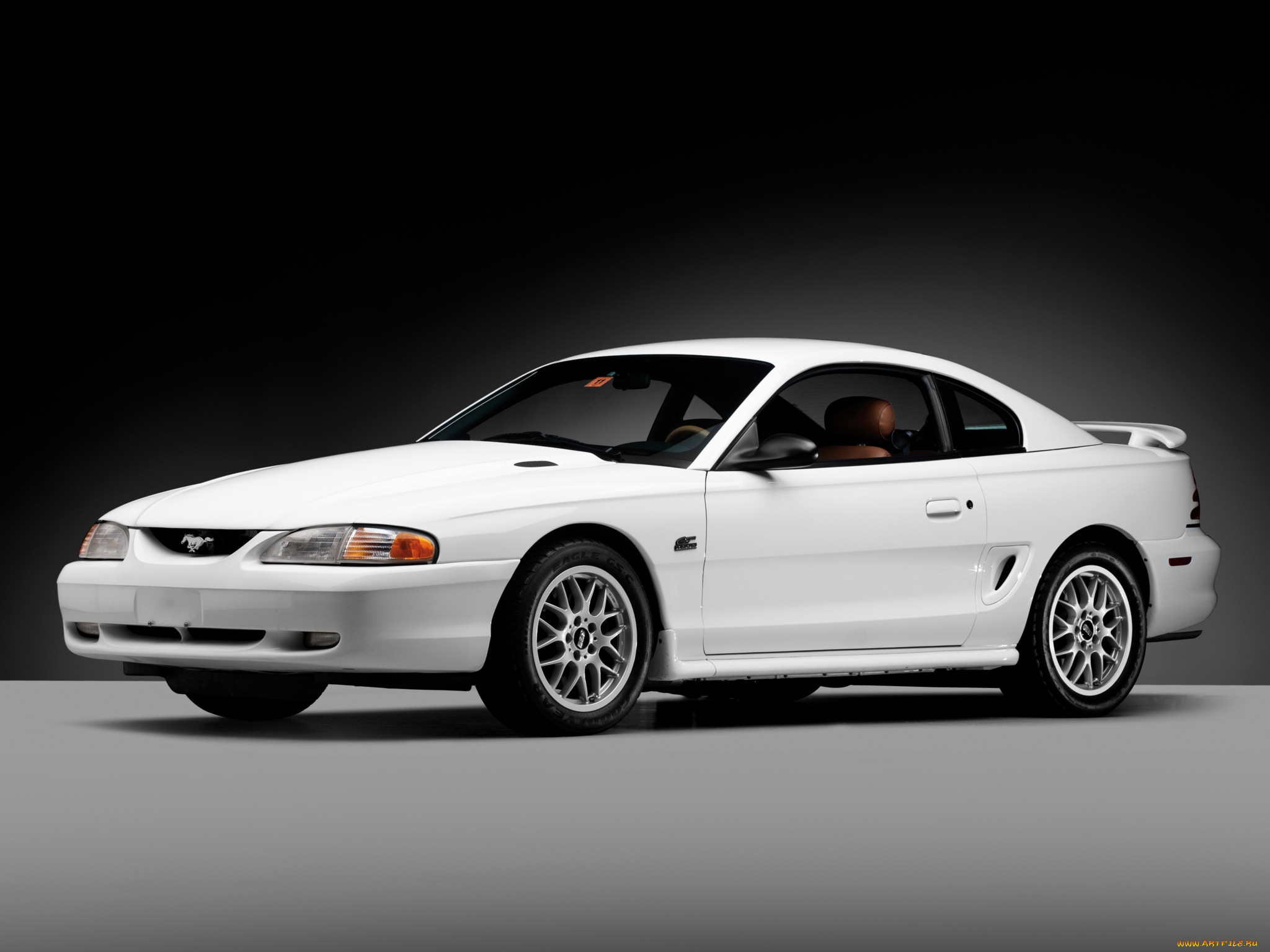 , mustang